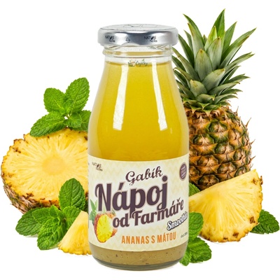 Nature NoTea Smoothie Gabík Ananas a Máta 200 ml