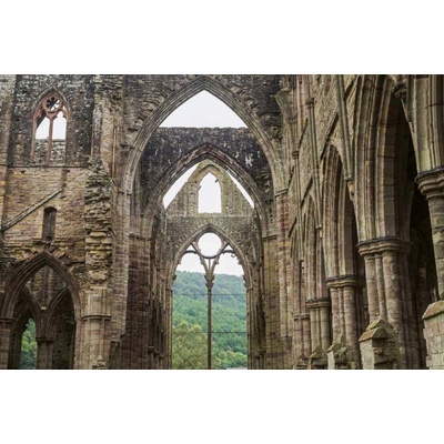 Dimex MS-5-1058 Vliesová fototapeta Klášter Tintern rozměry 375 x 250 cm