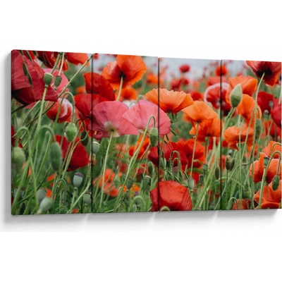 Obraz z pole vlčích máků, Čtyřdílný 160x80 cm