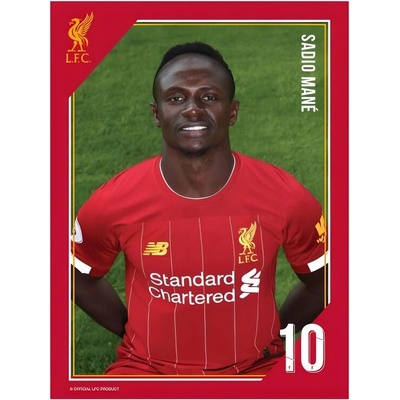 Tlačená fotografia Liverpool 15/20cm Mane