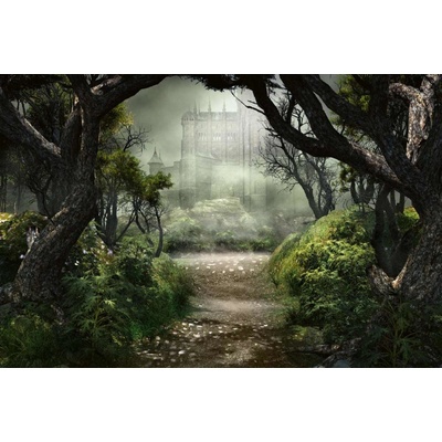 Dimex MS-5-1274 Vliesová fototapeta Průchod k tajemnému hradu rozměry 375 x 250 cm