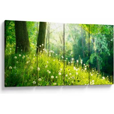 Obraz - Magická lúka plná púpav, štvordielne 160x80 cm