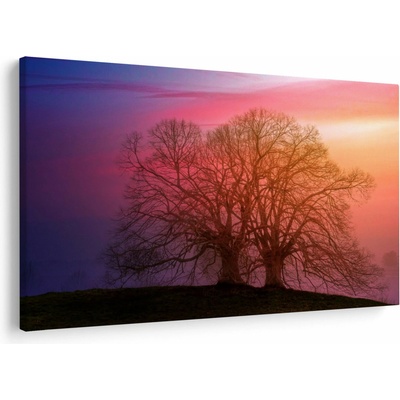 Obraz stromov v hmle, jednodielne 150x100 cm
