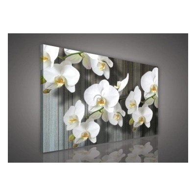 Obraz na plátne obdĺžník - OB1071 - Biele kvety 100cm x 75cm - O1