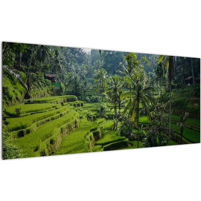 Obraz rýžových teras Tegalalang, Bali, jednodílný 100x40 cm