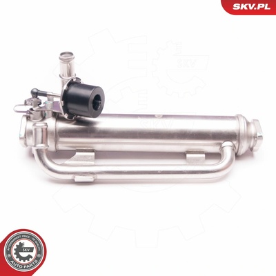 AGR-Ventil ESEN SKV 14SKV126