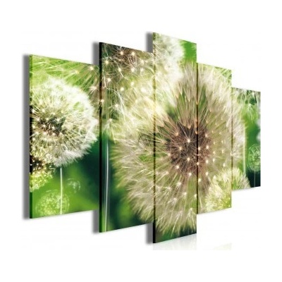 Obraz na plátne viacdielny - OB3417 - Púpava 100cm x 60cm - S17