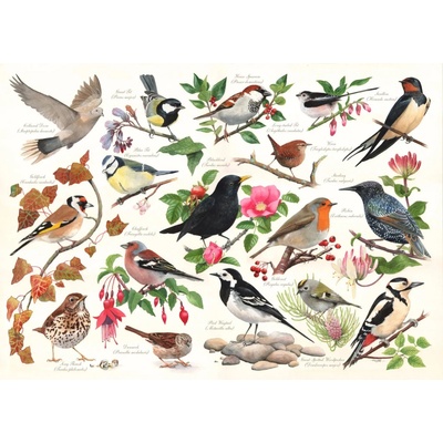 House of Puzzles Birds In My Garden 1000 dielov
