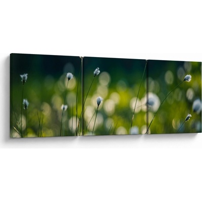 Obraz - Tráva, trojdielne 90x30 cm