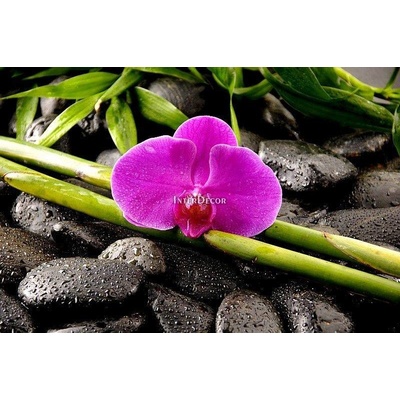 kameny s orchideji 1 deska 70x50