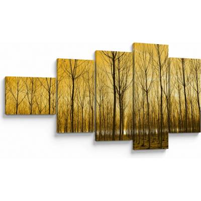 Obraz lesa pri západe slnka, päťdielne 110x60 cm
