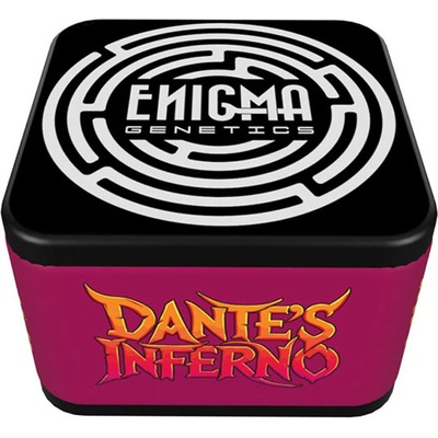 Enigma Genetics Dantes Inferno semienka neobsahujú THC 6 ks