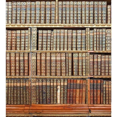 Dimex MS-3-0263 vliesová fototapeta na zeď Knihovna rozměry 225 x 250 cm