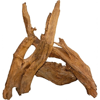 Macenauer Mangroven-Wurzel XL 80-90 cm