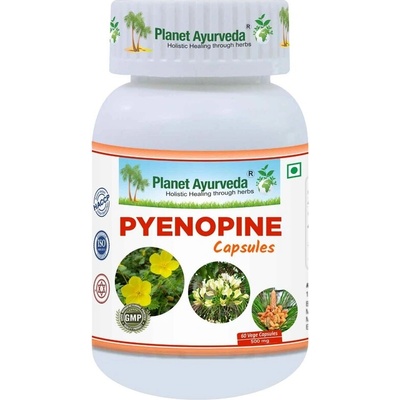 Planet Ayurveda Pyenopine Močové cesty, Obličky 500mg 60 kapsúl