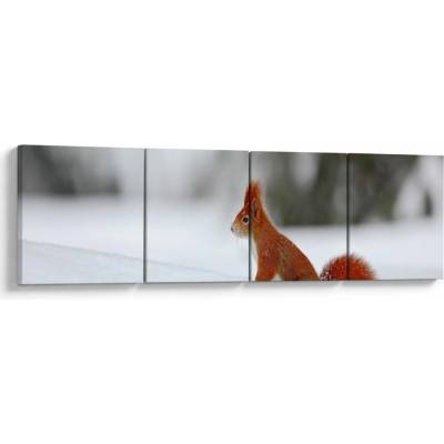 Obraz veverky, Čtyřdílný 160x40 cm