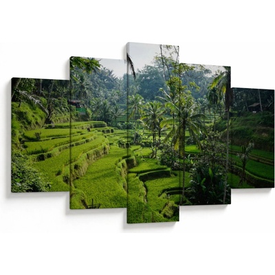 Obraz rýžových teras Tegalalang, Bali, pětidílný 150x105 cm