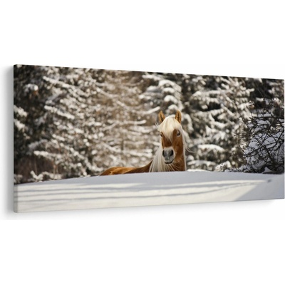 Obraz - Kôň v zimnej krajine, jednodielne 250x125 cm
