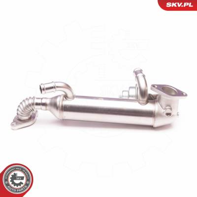 AGR-Ventil ESEN SKV 14SKV119