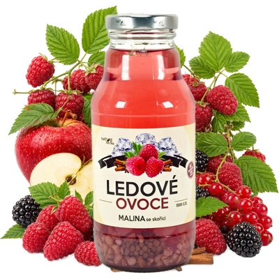 Nature Notea Ledové ovoce Malina se skořicí 330 ml