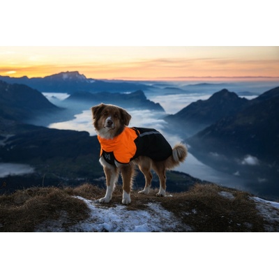 Non-stop dogwear pláštěnka Fjord raincoat 2.0