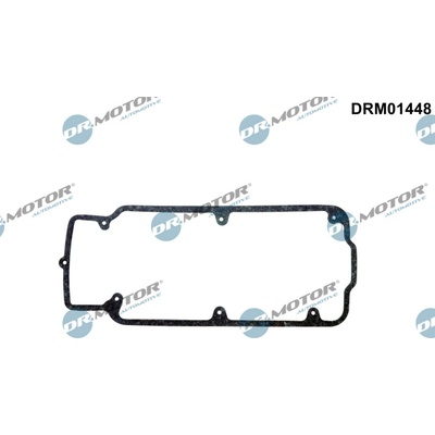 DR.MOTOR AUTOMOTIVE Tesnenie veka hlavy valcov DRM01448