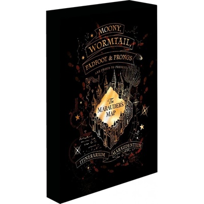 Paladone Svítící obraz Harry Potter - Pobertův plánek
