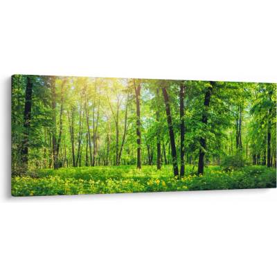 Obraz - Jarný listnatý les, jednodielne 120x50 cm