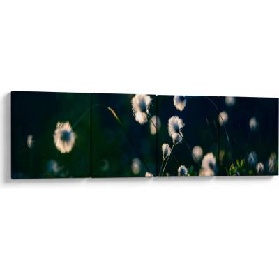 Obraz - Tráva, štvordielne 160x40 cm