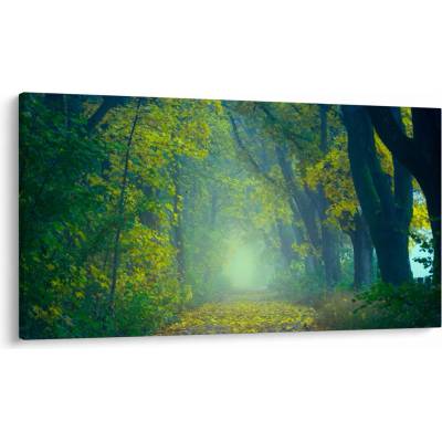 Obraz cesty lemovanej stromami, jednodielne 120x70 cm
