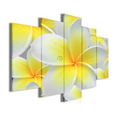 Obraz na plátne viacdielny - OB3420 - Žltobiely kvet 100cm x 60cm - S17