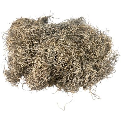 Španielsky mach 140g Tillandsia – prírodná zeleno sivá