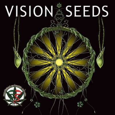 Vision Seeds White Widow Autofem semienka neobsahujú THC 5 ks