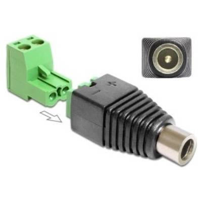 Delock adaptér DC 2.1 x 5,5 mm samice na svorkovnici 2 piny 2 části 65423