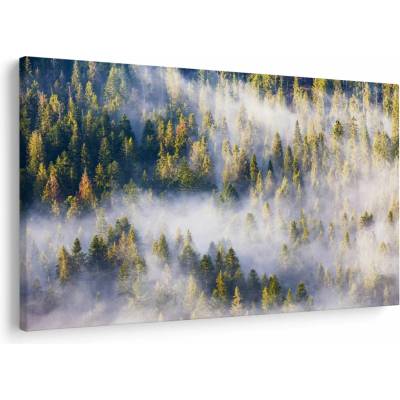 Obraz stromov v hmle, jednodielne 150x100 cm