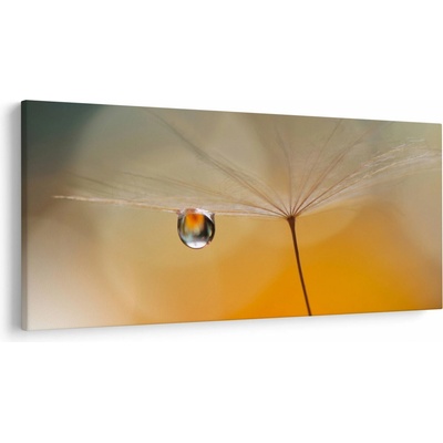 Obraz - Makro kvetu, jednodielne 200x100 cm