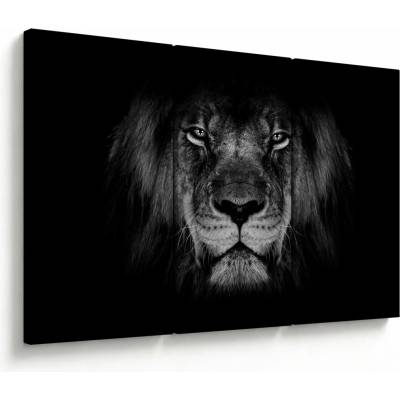 Obraz - Lev a jeho majestátnosť, trojdielne 120x80 cm