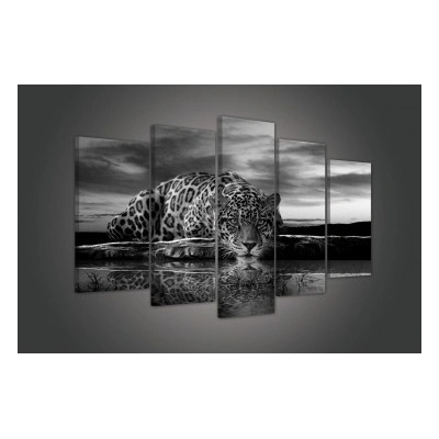 Obraz na plátne viacdielny - OB3474 - Jaguár 100cm x 60cm - S17