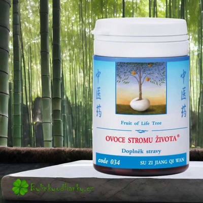 TCM Herbs Ovoce stromu života 100 tablet – Hledejceny.cz