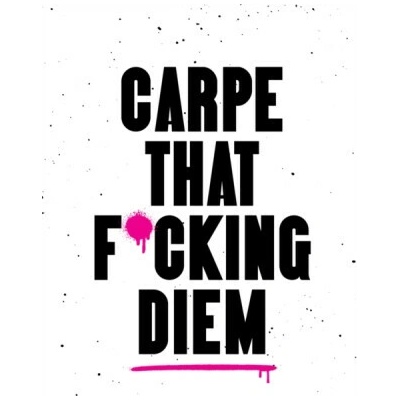 Carpe That F*cking Diem - Summersdale Publishers – Hledejceny.cz