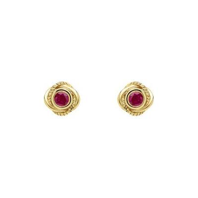 Elements Gold Zlaté náušnice s rubínom GE2536R