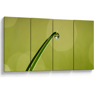 Obraz kapky vody na trávě, Čtyřdílný 160x80 cm