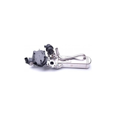SKV EGR ventil FORD Galaxy (WA6) Mondeo Mk4 2.2 TDCi