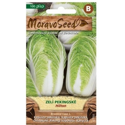 Semienka MoravoSeed Kapusta pekinská HILTON 67701