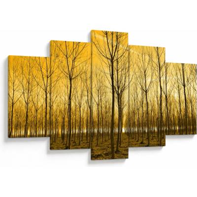 Obraz lesa pri západe slnka, päťdielne 150x105 cm