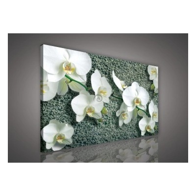 Obraz na plátne obdĺžník - OB1068 - Biele kvety 100cm x 75cm - O1