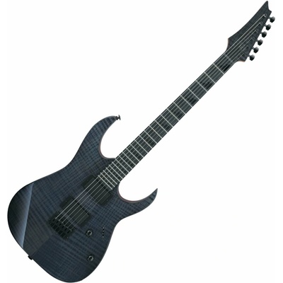 Ibanez GRGR221FA-TDK – Hledejceny.cz