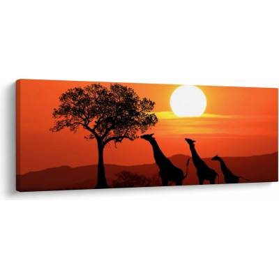 Obraz žiraf při západu slunce, jednodílný 100x40 cm