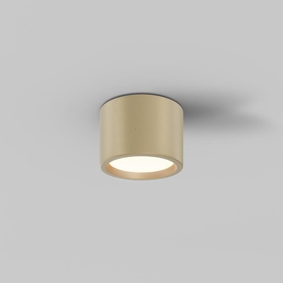 MAYTONI C090CL-10W3K-MG