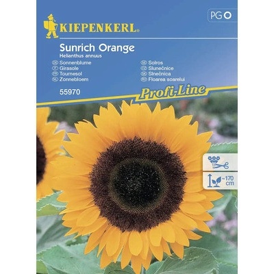 Slnečnica Sunrich Orange F1 Kiepenkerl